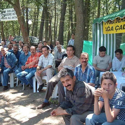 2005 Piknik — fotoğraf 3