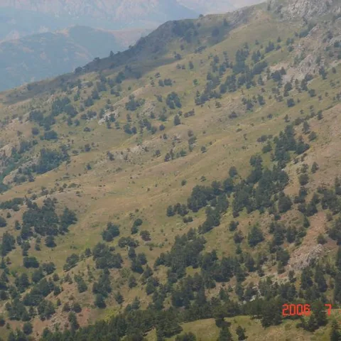 2006 Köy ve Yayla Fotoğrafları — fotoğraf 15