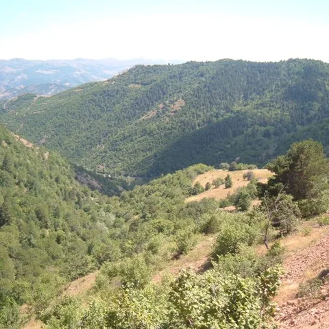 2006 Köy ve Yayla Fotoğrafları — fotoğraf 29