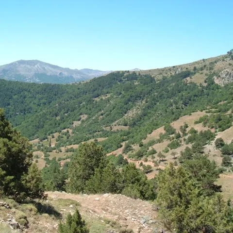 2007 Köy ve Yayla — fotoğraf 32