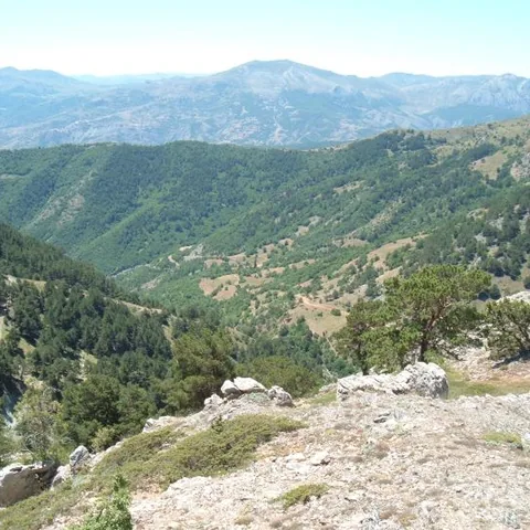 2007 Köy ve Yayla — fotoğraf 37