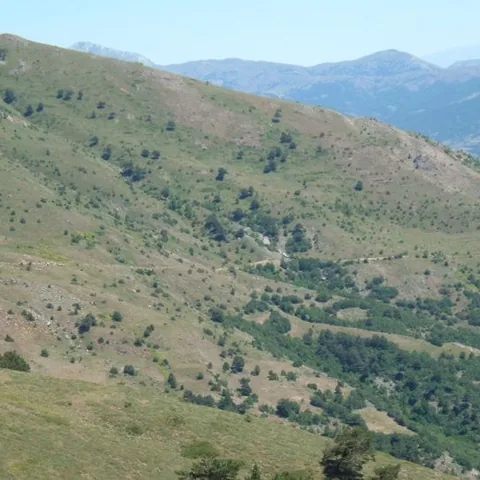 2007 Köy ve Yayla — fotoğraf 47