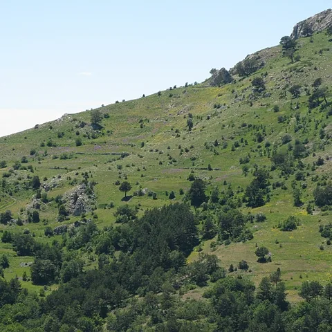 2008 Köy — fotoğraf 4