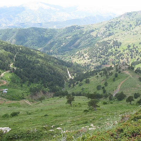 2008 Köy — fotoğraf 15