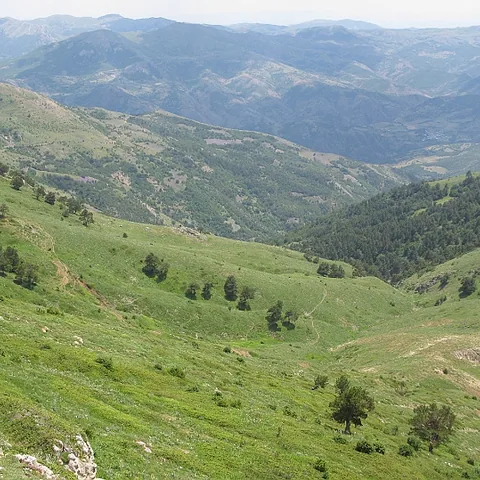2008 Köy — fotoğraf 19