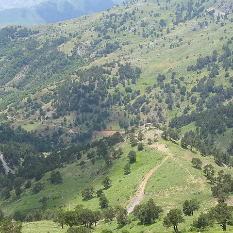 2008 Köy — fotoğraf 21