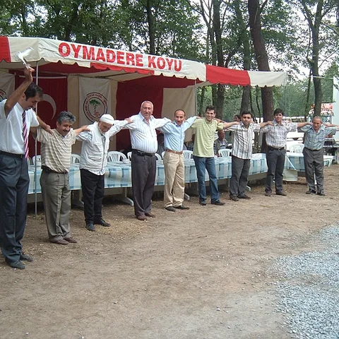 2008 Piknik — fotoğraf 1