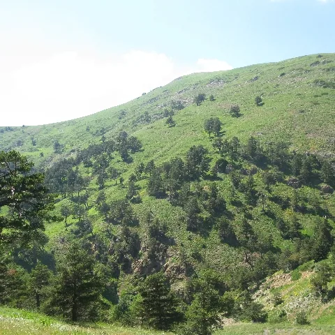 2009 Köy ve Yayla — fotoğraf 11