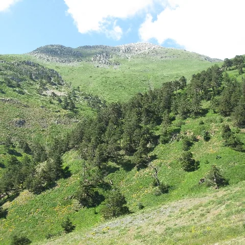 2009 Köy ve Yayla — fotoğraf 12