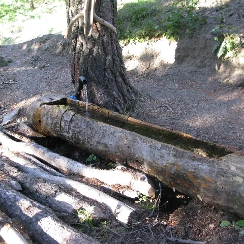 2009 Köy ve Yayla — fotoğraf 22