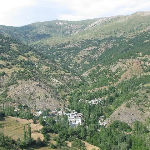 2009 Köy ve Yayla — fotoğraf 49