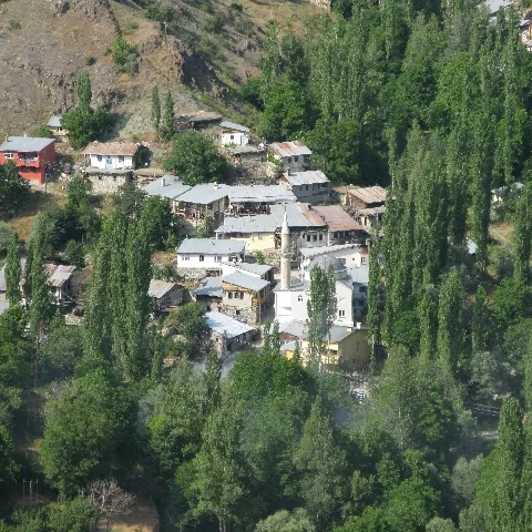 2009 Köy ve Yayla — fotoğraf 52