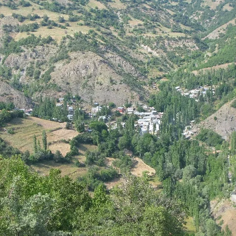 2009 Köy ve Yayla — fotoğraf 53
