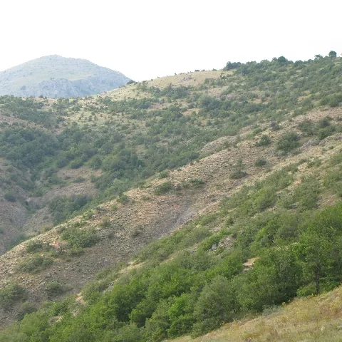 2009 Köy ve Yayla — fotoğraf 57