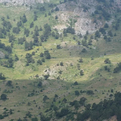 2009 Köy ve Yayla — fotoğraf 65