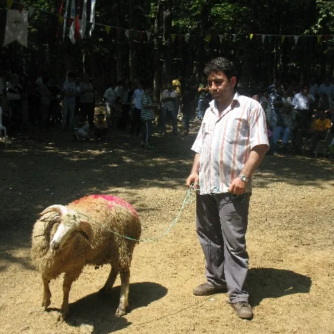 2009 Piknik — fotoğraf 40