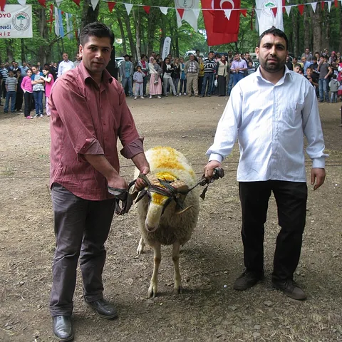 2011 Piknik — fotoğraf 42
