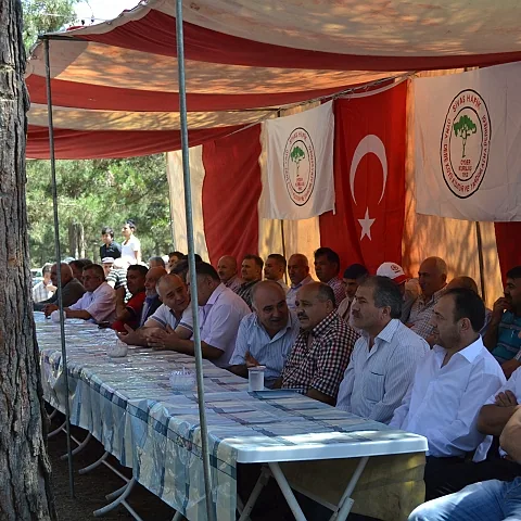 2012 Piknik — fotoğraf 2