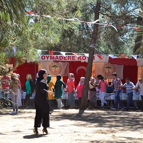 2012 Piknik — fotoğraf 5