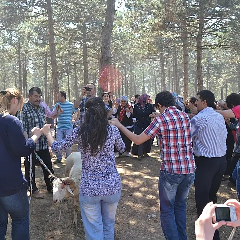 2012 Piknik — fotoğraf 18