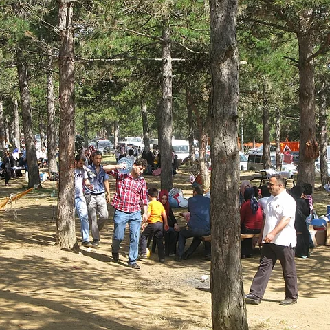 2012 Piknik — fotoğraf 38