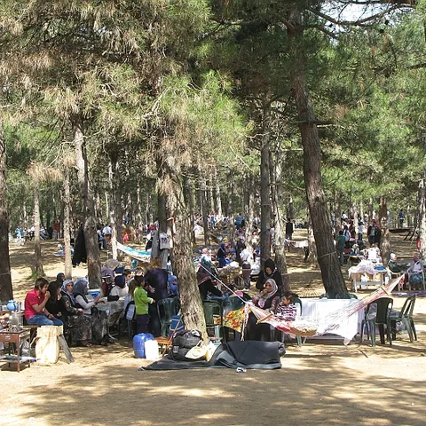 2012 Piknik — fotoğraf 40