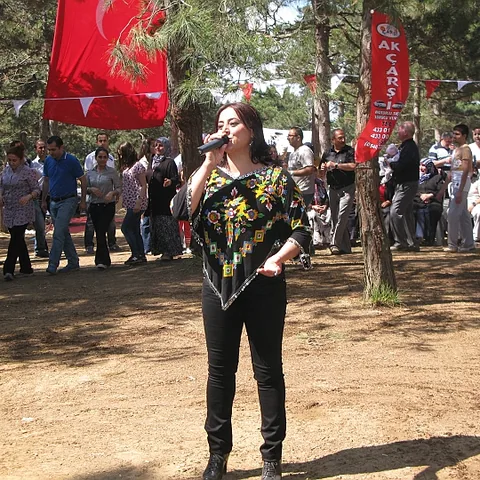2013 Piknik — fotoğraf 82
