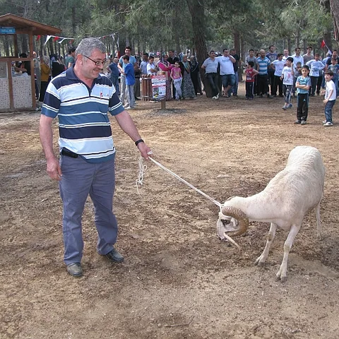 2013 Piknik — fotoğraf 97