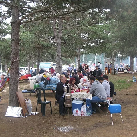 2014 Piknik — fotoğraf 2