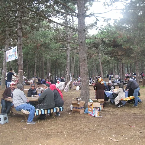 2014 Piknik — fotoğraf 5