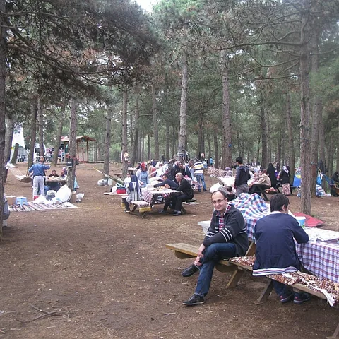 2014 Piknik — fotoğraf 9