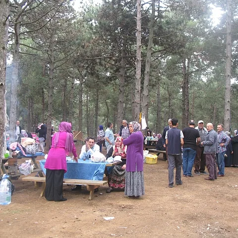 2014 Piknik — fotoğraf 14