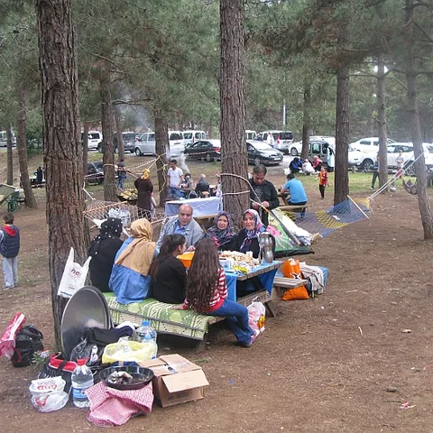 2014 Piknik — fotoğraf 19