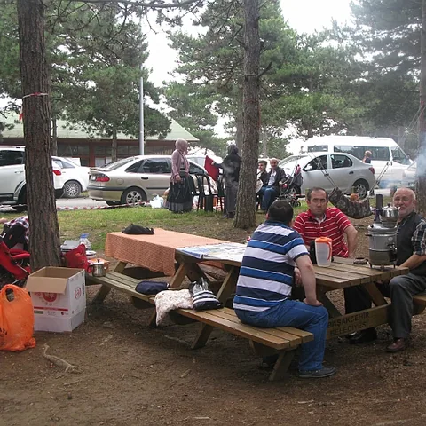 2014 Piknik — fotoğraf 22