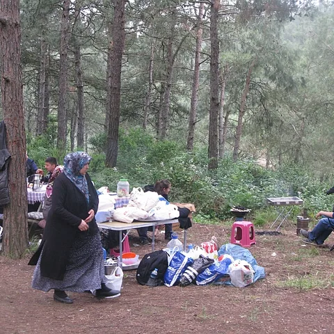 2014 Piknik — fotoğraf 23