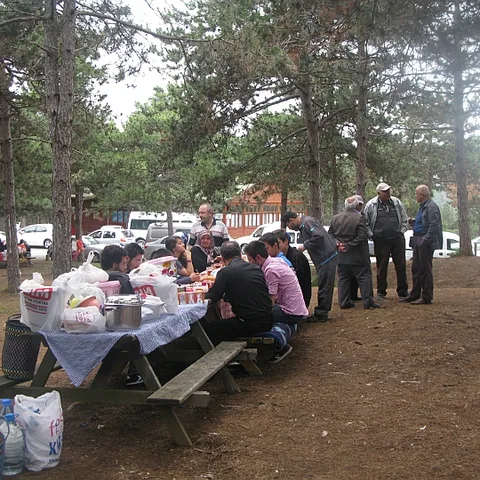 2014 Piknik — fotoğraf 27
