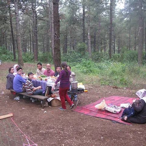 2014 Piknik — fotoğraf 37