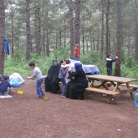 2014 Piknik — fotoğraf 39