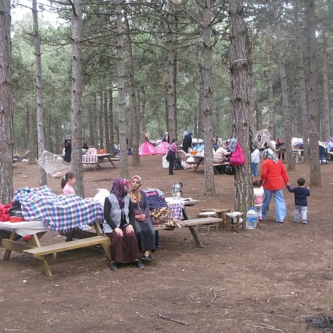 2014 Piknik — fotoğraf 50