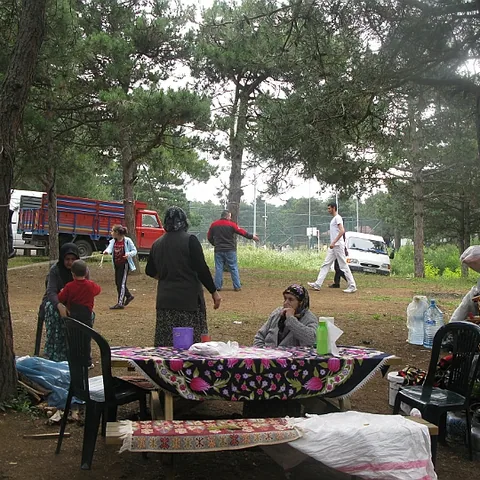 2014 Piknik — fotoğraf 61