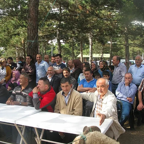 2014 Piknik — fotoğraf 161