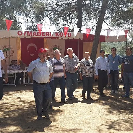 2015 Piknik — fotoğraf 18
