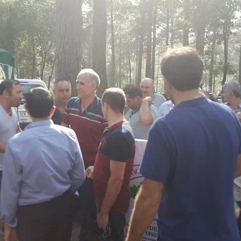 2018 Piknik — fotoğraf 48