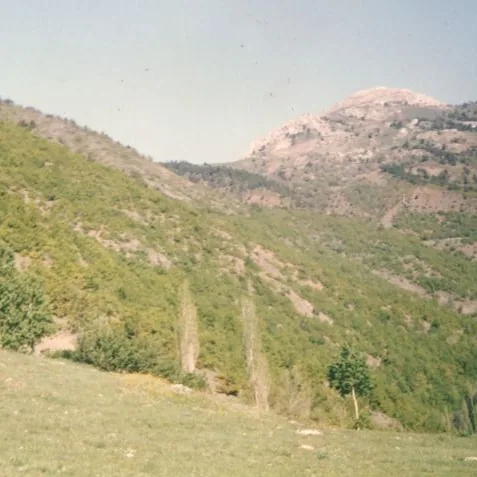 Ahmet Kaya'nın Fotoğrafları — fotoğraf 6