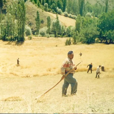 Bekir Keskin'in Fotoğrafları — fotoğraf 2