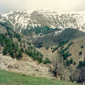 Bekir Keskin'in Fotoğrafları — fotoğraf 21