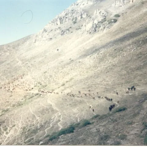 Davut Ulugöl'ün Fotoğrafları — fotoğraf 10