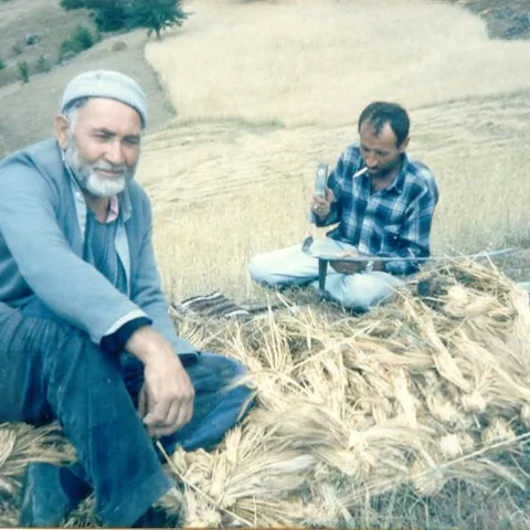 Davut Ulugöl'ün Fotoğrafları — fotoğraf 12