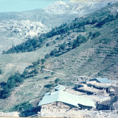 Davut Ulugöl'ün Fotoğrafları — fotoğraf 20