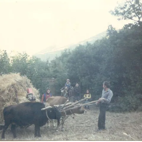 Davut Ulugöl'ün Fotoğrafları — fotoğraf 30